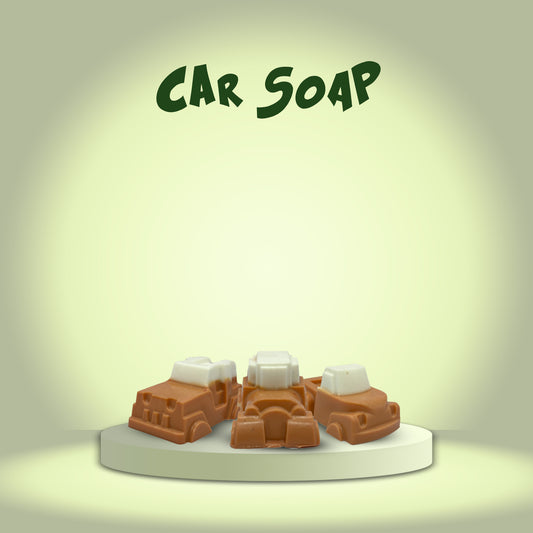 Car Soap Pair